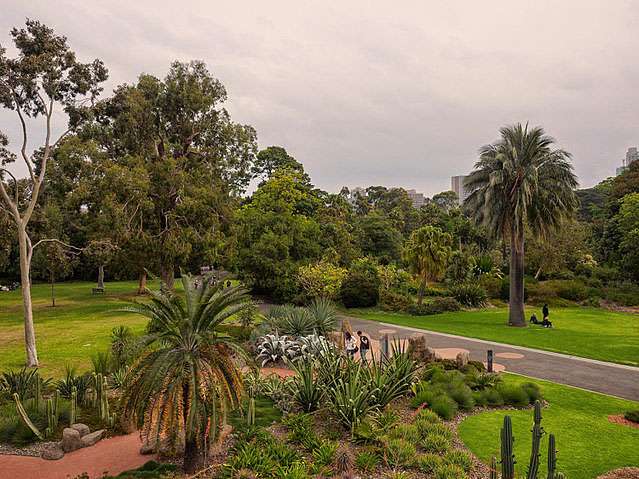 640px-Royal_Botanic_Gardens,_Melbourne_-_panoramio_(4)